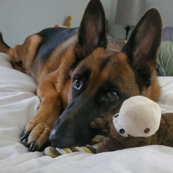 LIVE NOW ! - Picture 15 of 17